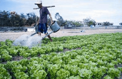 液體肥料增稠劑應(yīng)用場景..png 液體肥料增稠劑應(yīng)用場景..png