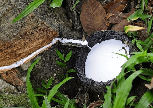 天然乳膠增稠劑應(yīng)用場景.png 天然乳膠增稠劑應(yīng)用場景.png