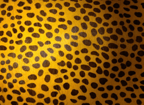 毛皮印花增稠劑應(yīng)用場(chǎng)景.png 毛皮印花增稠劑應(yīng)用場(chǎng)景.png